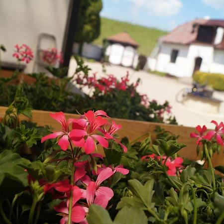 Hotel A Hostinec Talsky Mlyn Žďár nad Sázavou 外观 照片